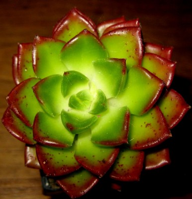 2013 Herbst 4 053.jpg