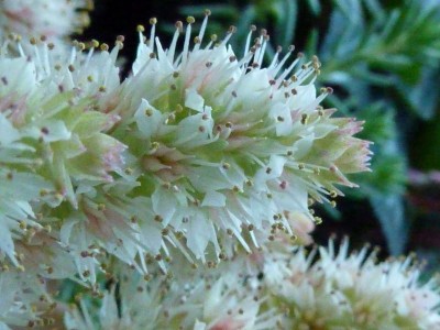 20131103 002 - Kopie (800x600).jpg