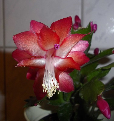 Bild 200.jpg