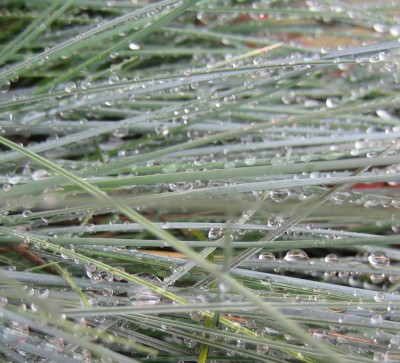 2013 Herbst 4 062.jpg