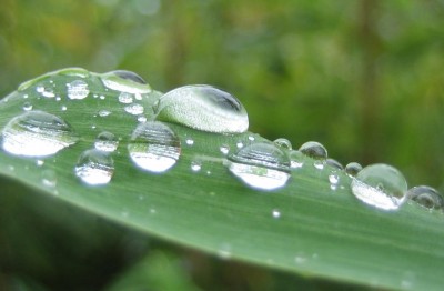 2013 Herbst 4 061.jpg