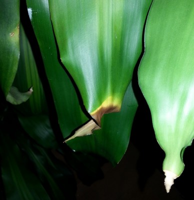 20131109_164336.jpg