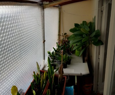 Pano_0037.jpg