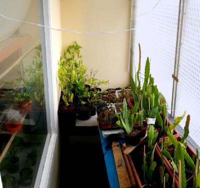 Pano_0039.jpg