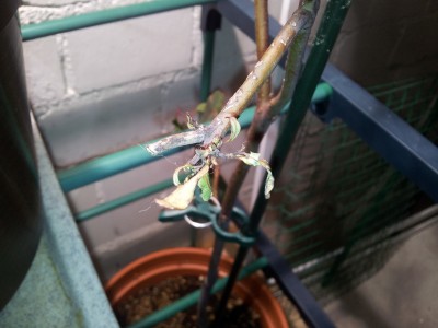 20131111_175146.jpg