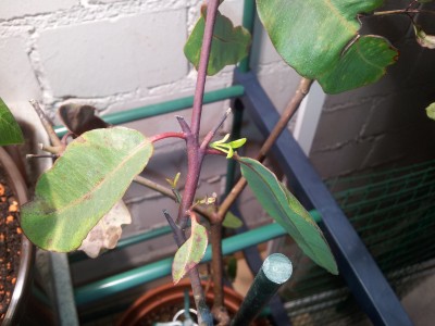 20131111_175214.jpg