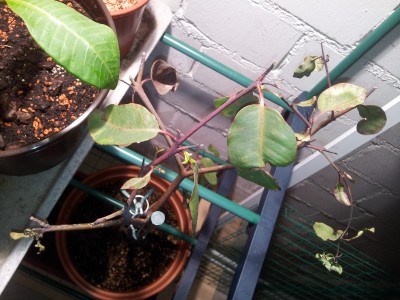 20131111_175224.jpg