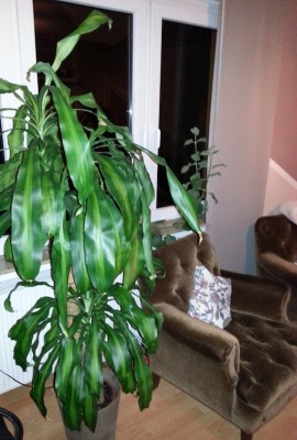 20131112_181916.jpg