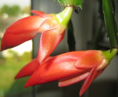 2013 Herbst 4 072.jpg