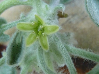 20130615 060 - Kopie (800x600).jpg