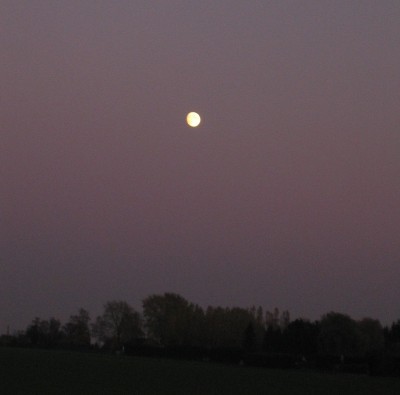 2013 Herbst 4 105.jpg