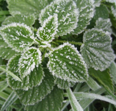 2013 Herbst 4 114.jpg
