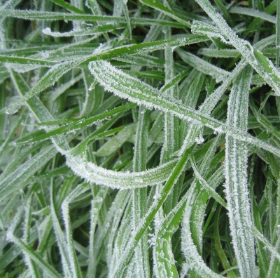 2013 Herbst 4 115.jpg
