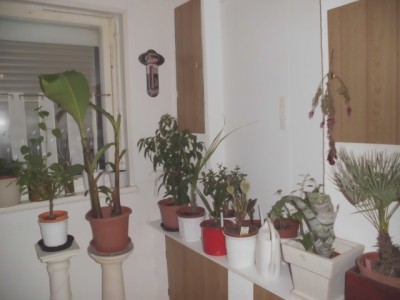 DSCI0288.JPG