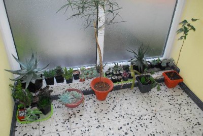 Winter201314 002yy.jpg