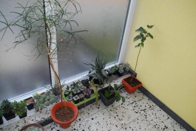 Winter201314 003yy.jpg