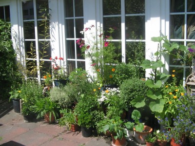 div. Sommer 010.jpg