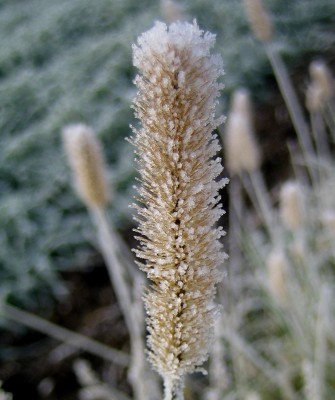 2013 Herbst + Winter 002 Kopie.jpg