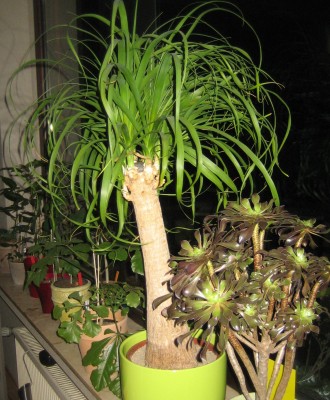 2013 Herbst + Winter 040.jpg