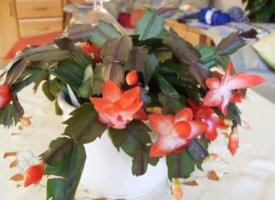 Photo2.jpg