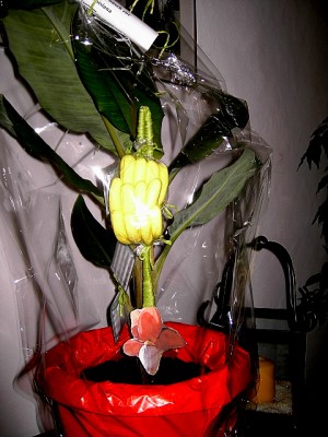 PICT0195.JPG