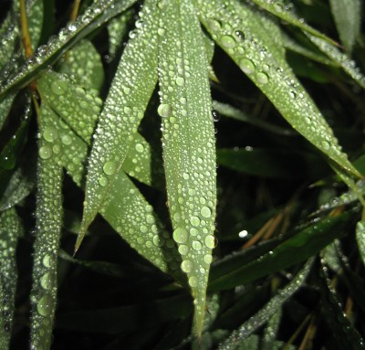 2013 Herbst 4 176.jpg