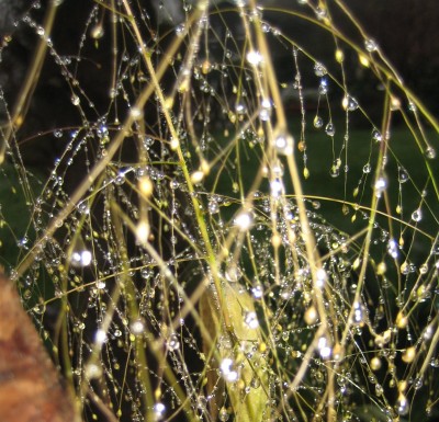 2013 Herbst 4 186.jpg