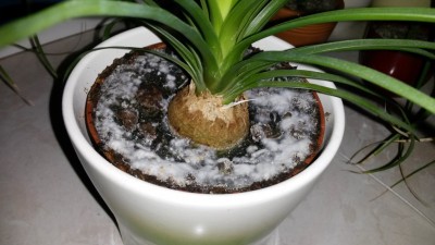 20131127_192527.jpg