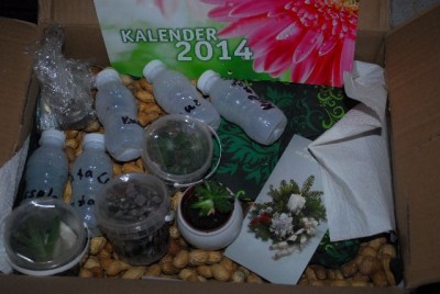 Winter201314 026yy.jpg