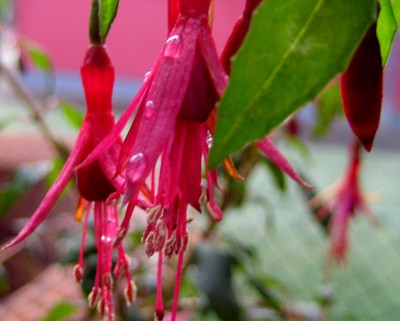 2013 Herbst + Winter 032 Kopie.jpg