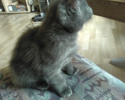 miro-das erste mal bei uns!.jpg