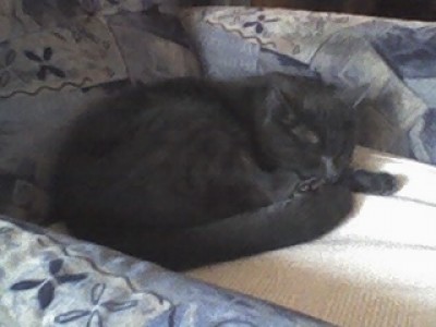 miros erster schnee.jpg