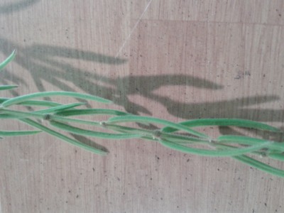 2013-12-10 18.39.35.jpg