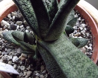 Bild 219.jpg