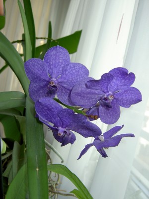 PICT0125.JPG
