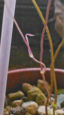 DSC_0019.JPG