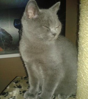 2013-12-18 19.58.01-1.jpg