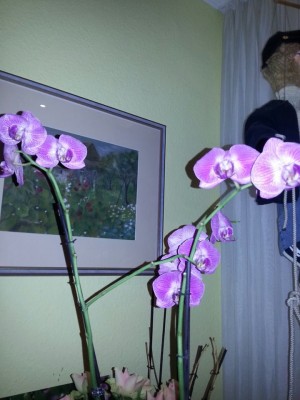 Blume4teil2.jpg