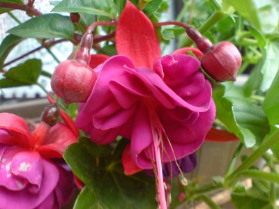 DSC00033.JPG