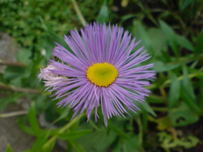 DSC00030.JPG