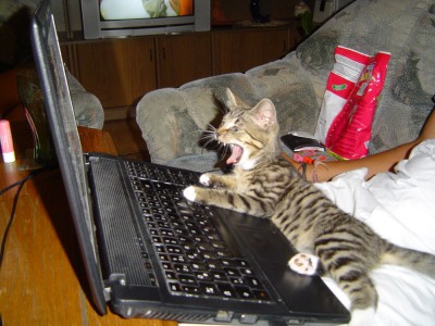 Sir Reginald (31).jpg