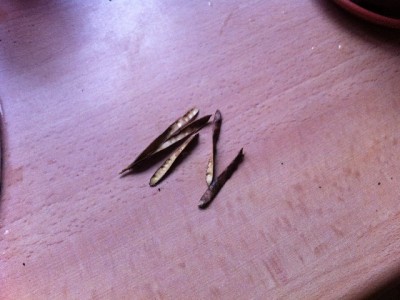 Samen Gran Canaria (4).JPG