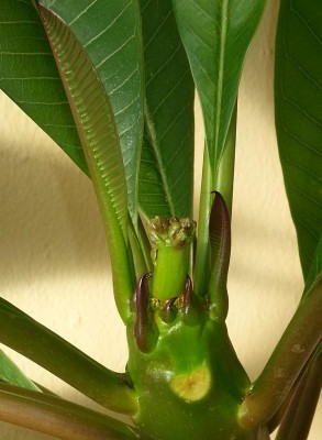 20131231_113745.jpg