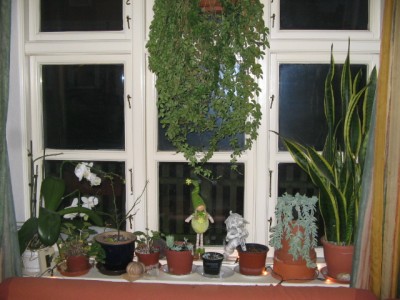 Fensterbank 001.JPG