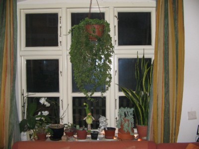 Fensterbank 005.JPG