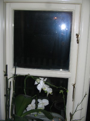 Fensterbank 002.JPG