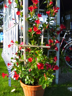 BILD0027.JPG
