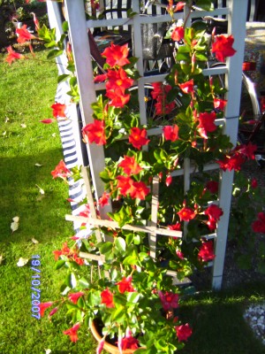 BILD0029.JPG