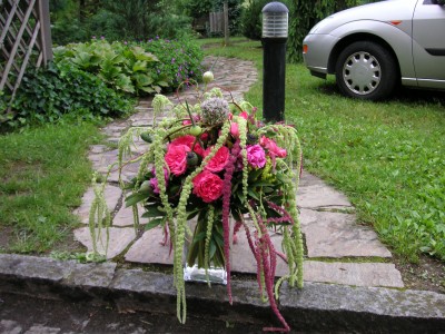 Garten (17).jpg