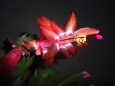 DSCF8536.JPG